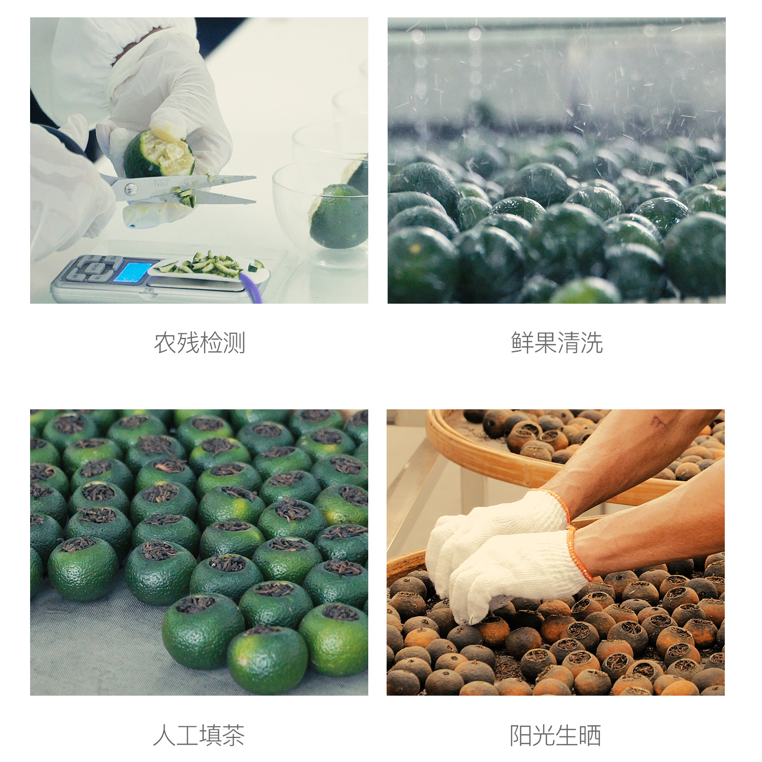 小青柑一颗装画板 7.jpg
