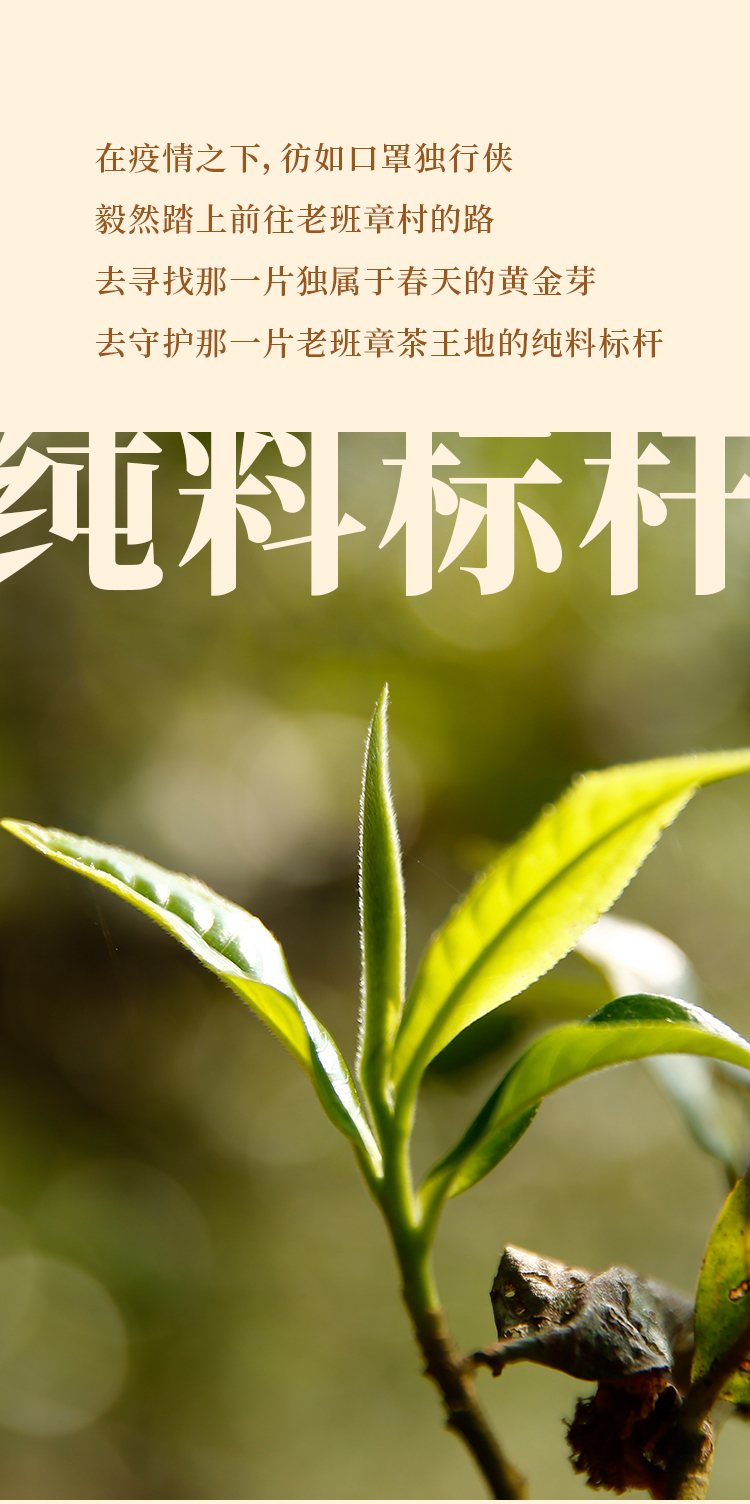 2021年，不下山·古茶山朝圣之旅再出发！_06.jpg