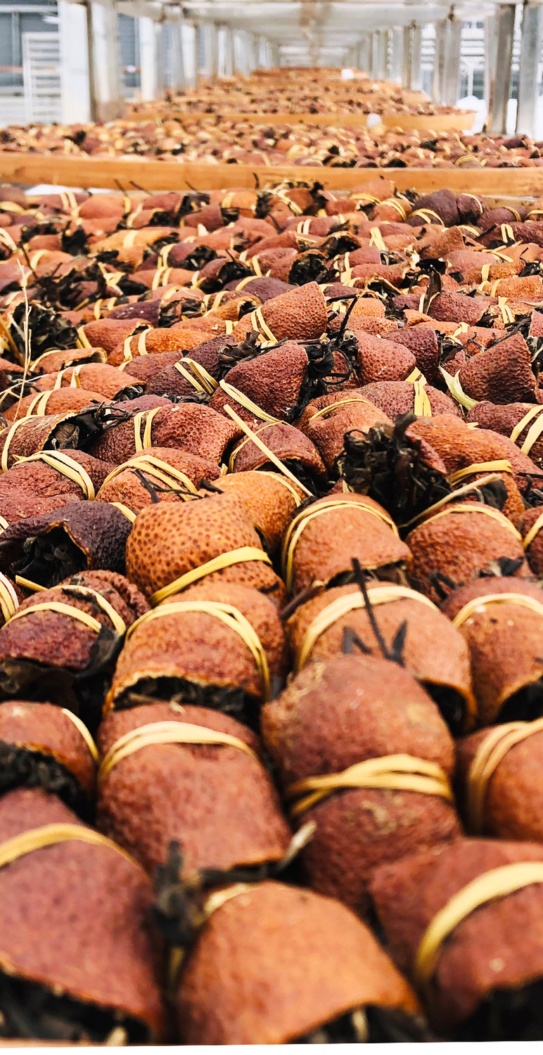 老三宝茶-gx_10.jpg