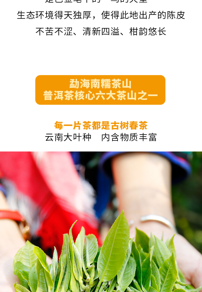 陈皮普洱龙珠详情页_06.jpg