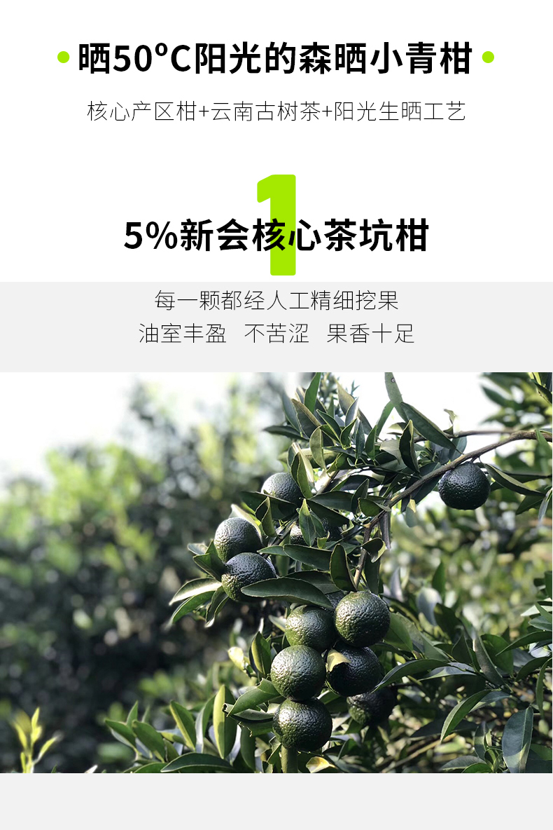 2018-柑普-250g-gx_13.jpg