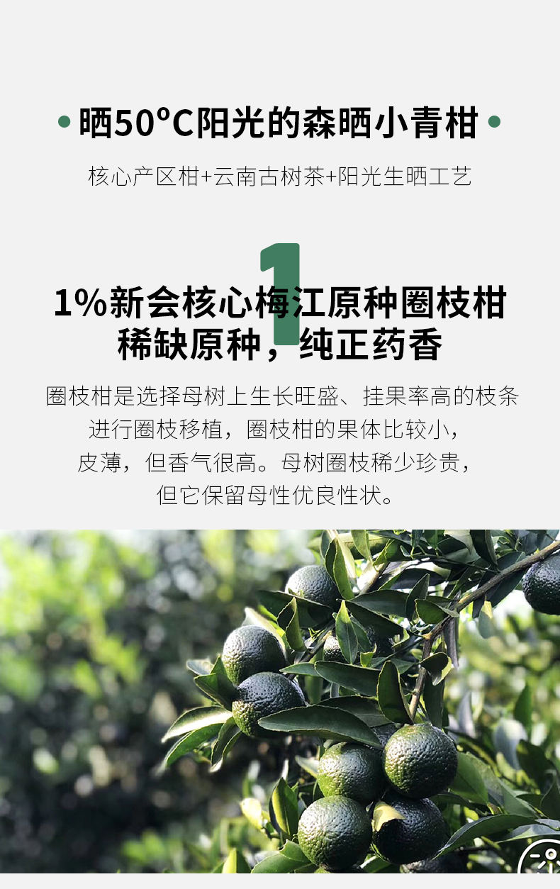 晒9天-gx_06.jpg