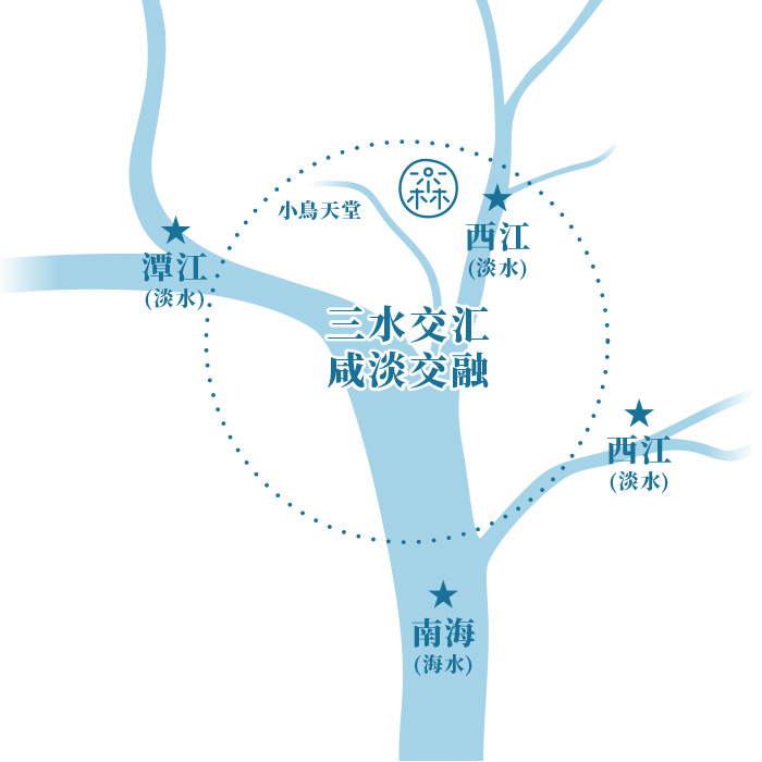 小青柑一颗装画板 13.jpg