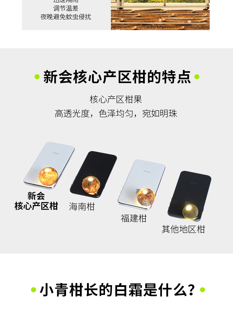 小青柑绿色礼盒_13.jpg