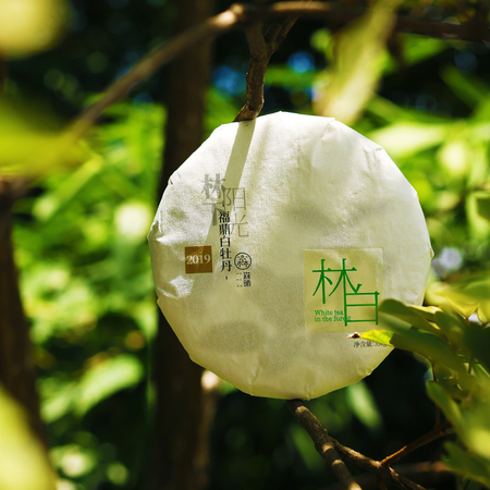 2021年「林白系列」福鼎白茶 （2019 年春白牡丹）茶饼 350g