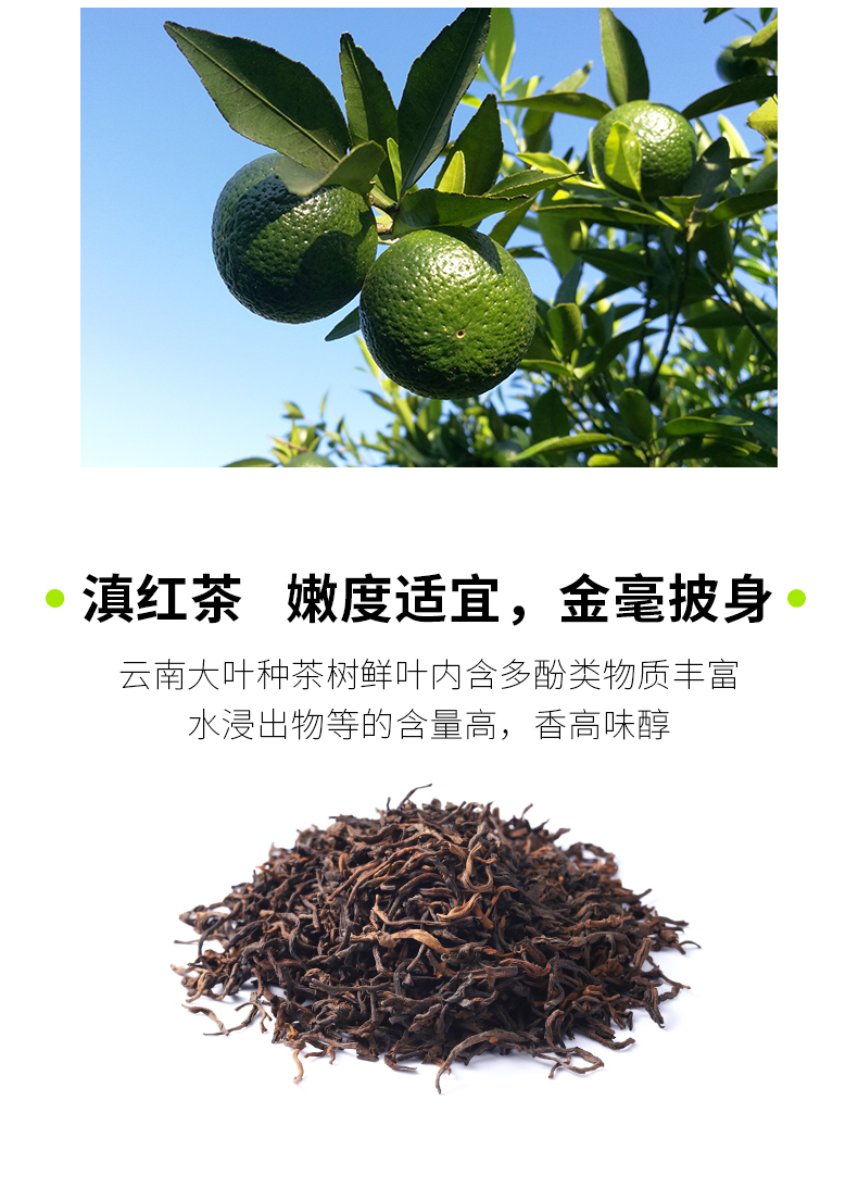 110g铁罐柑红-gx_05.jpg