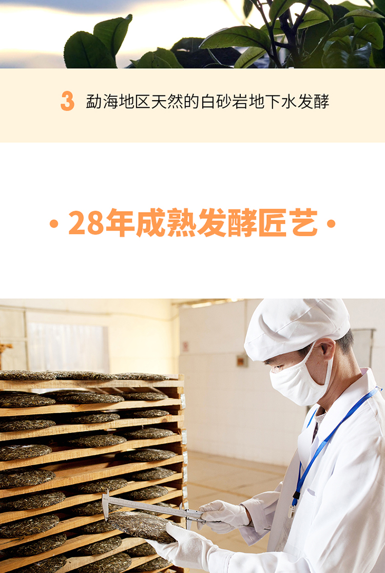 100g野熟森字饼_10.jpg