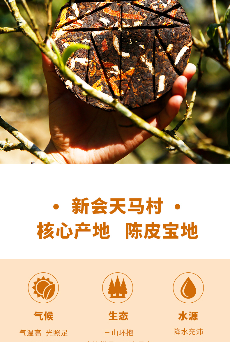 陈皮普洱饼详情页-天猫_07.jpg