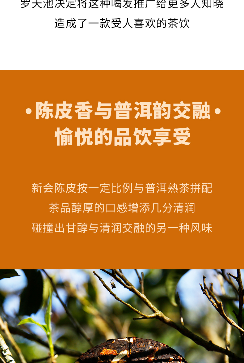 陈皮普洱饼详情页-天猫_06.jpg