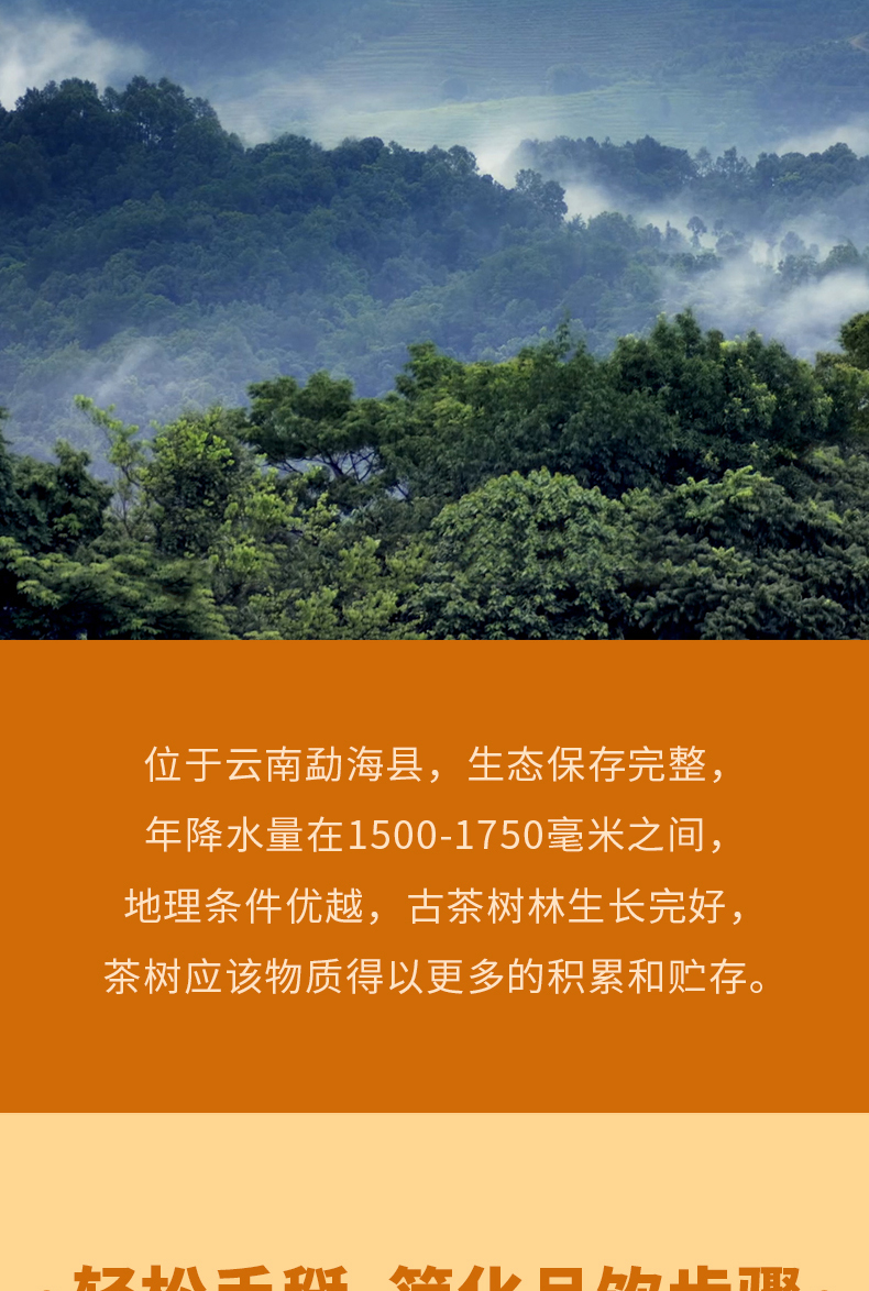 陈皮普洱饼详情页-天猫_10.jpg