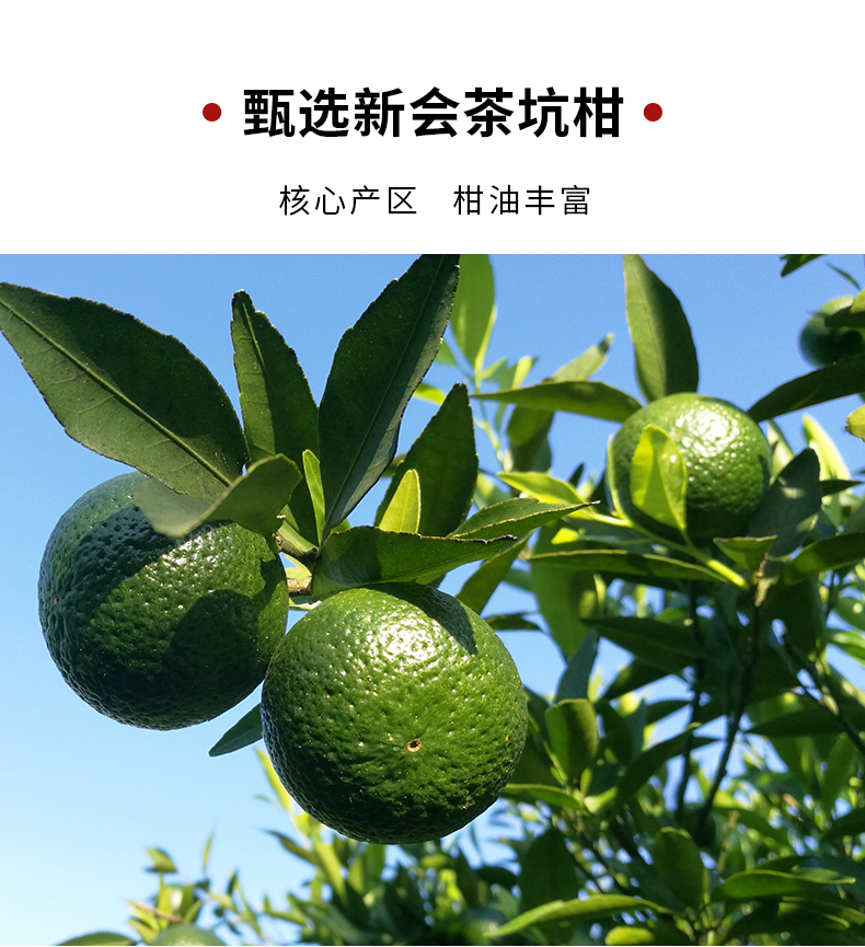红色森字礼盒_08.jpg