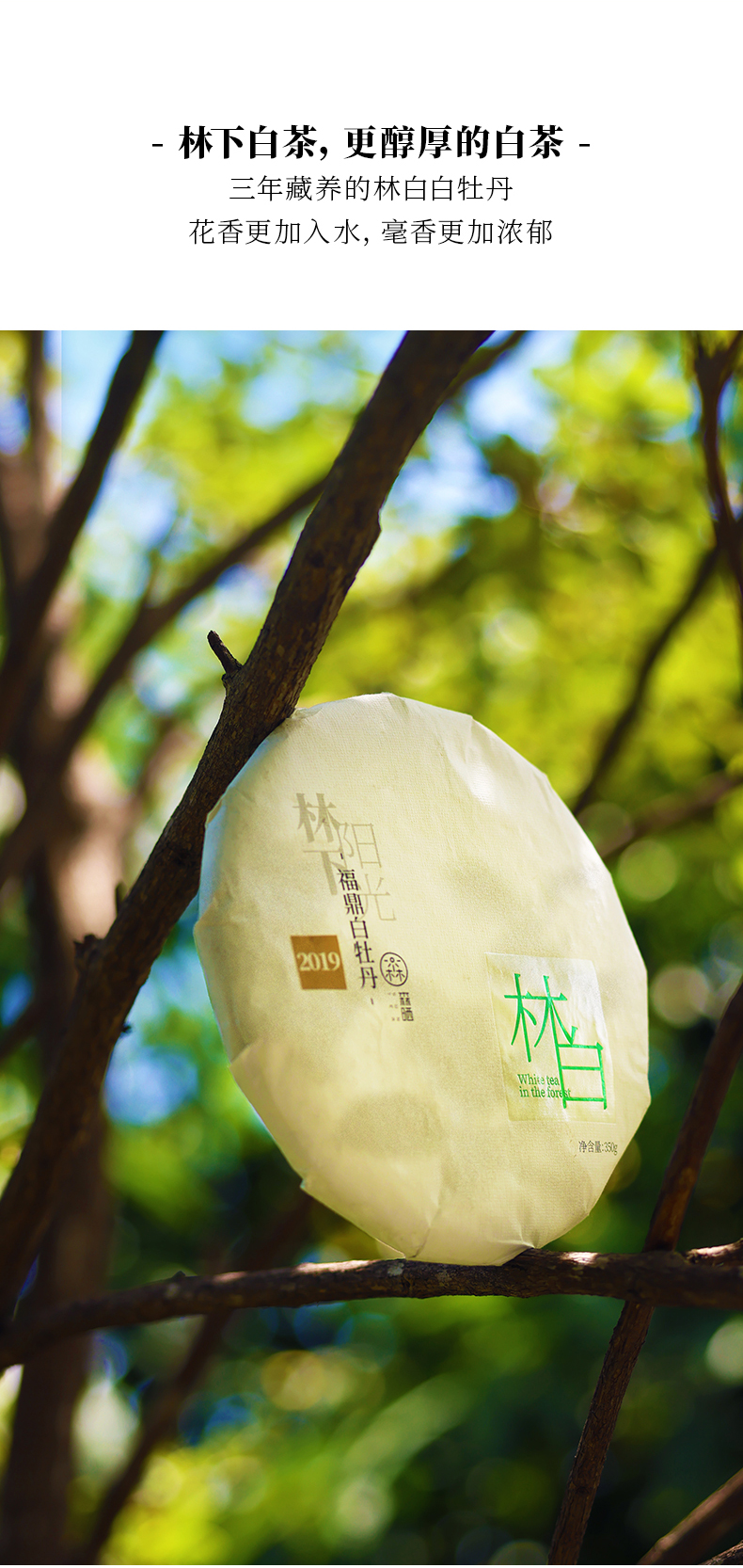 2019年白牡丹-详情页_14.jpg
