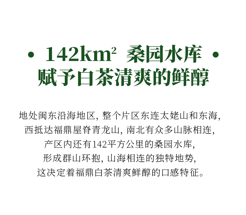 2019年福鼎半荒白毫银针_05.jpg