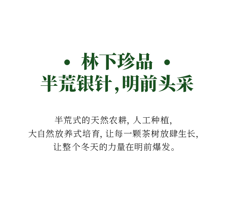 2019年福鼎半荒白毫银针_09.jpg