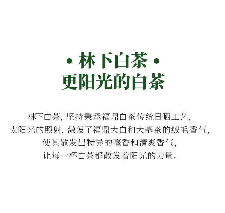2019年福鼎半荒白毫银针_07.jpg