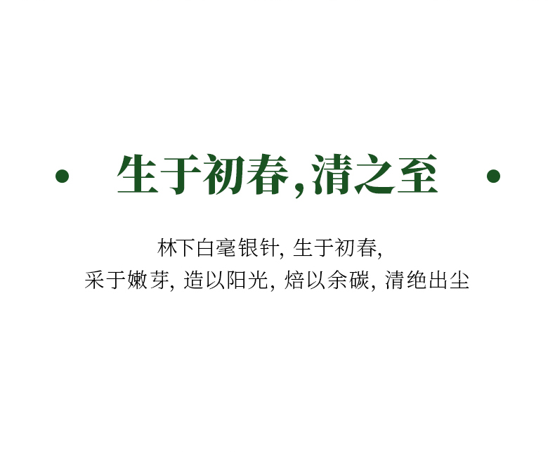 2019年福鼎半荒白毫银针_13.jpg