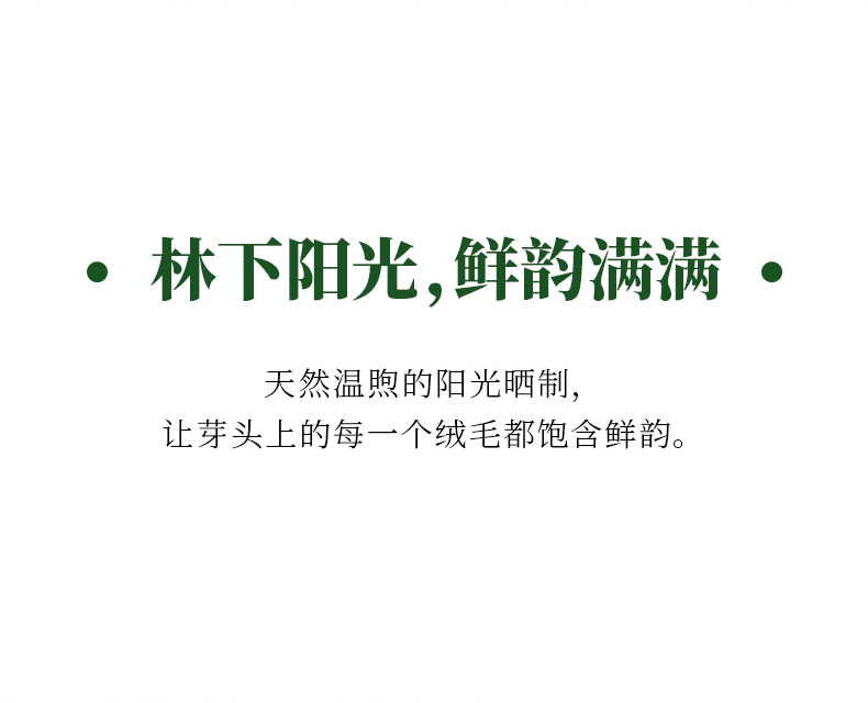 2019年福鼎半荒白毫银针_11.jpg
