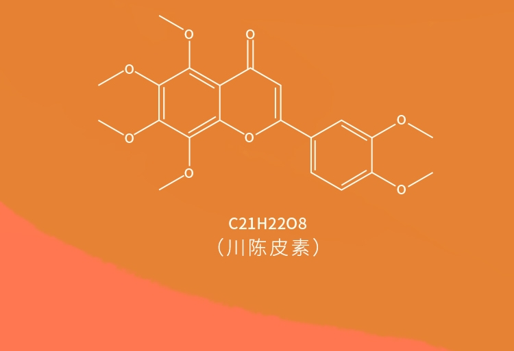首页_04_看图王.jpg