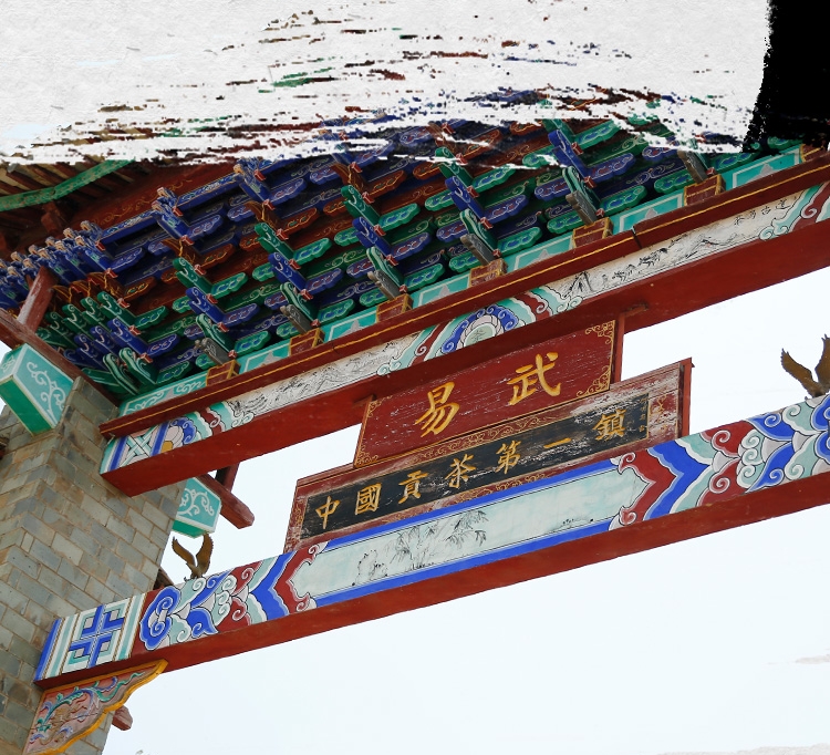 金易武2020_03_看.jpg