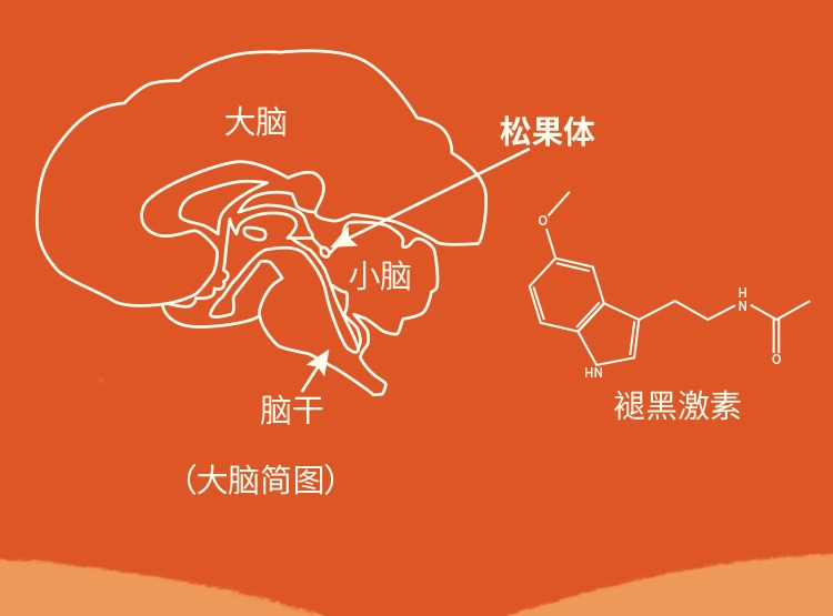 首页_06_看图王.jpg