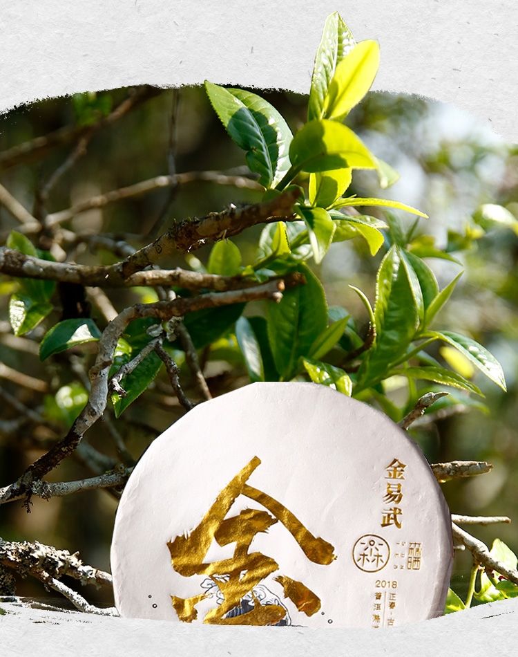 金易武2020_07_看图王.jpg