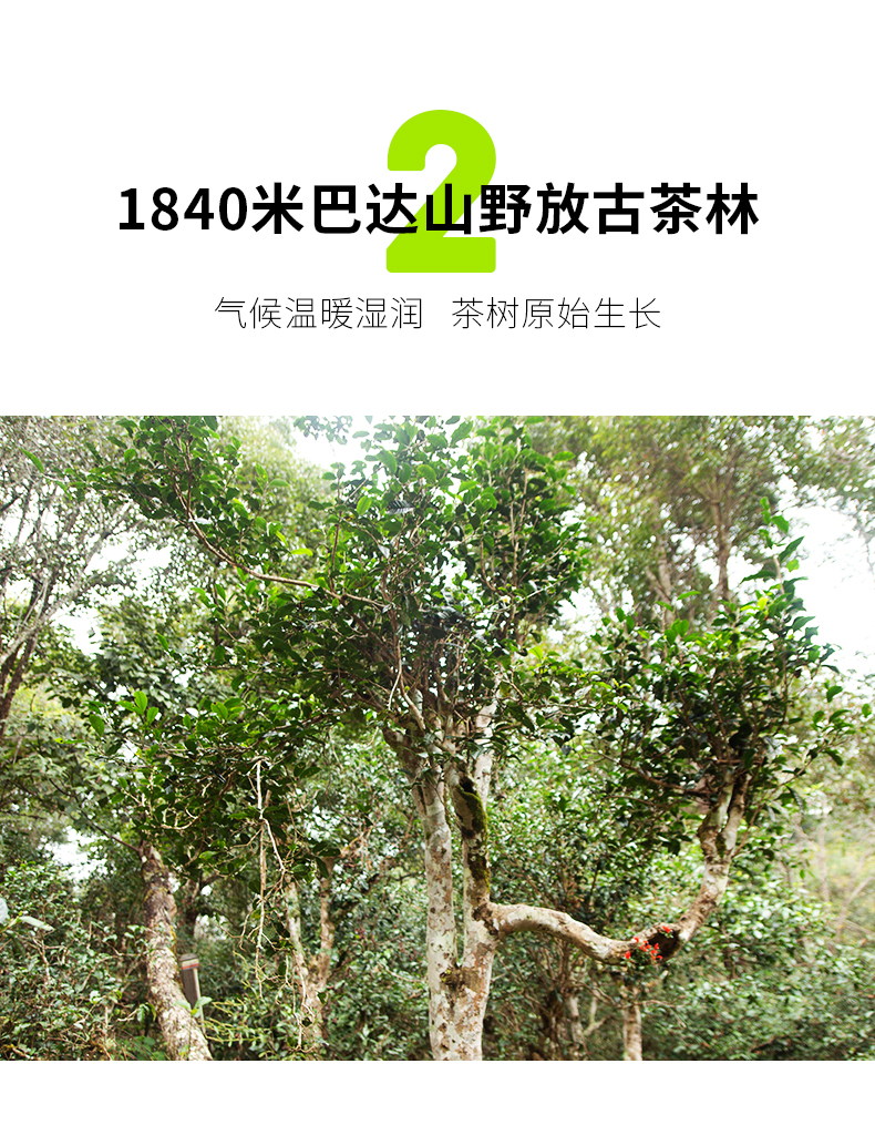 友谊装-gx_07.jpg