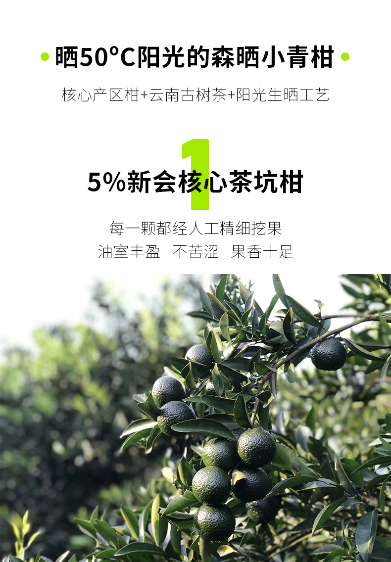友谊装-gx_06.jpg