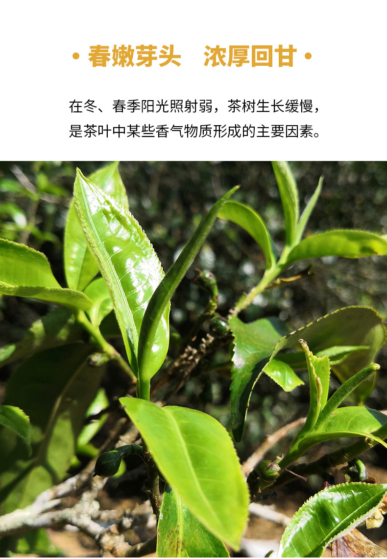 春景迈详情页_06.jpg