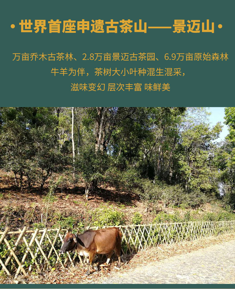 春景迈详情页_08.jpg