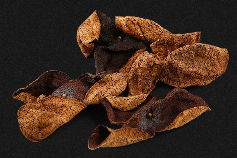 1997年新会西甲老树陈皮,迎接传承使命,焕发鎏金光彩