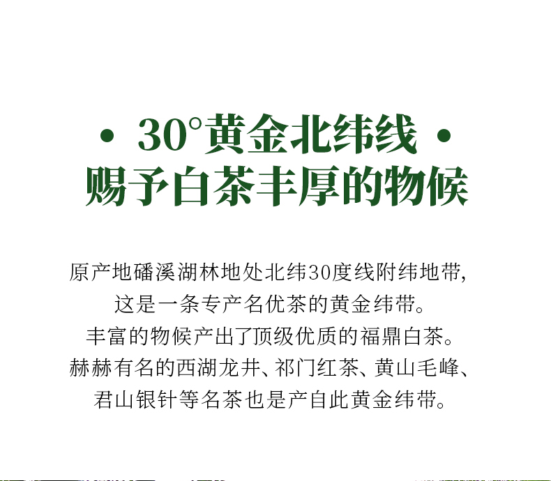 2019年白牡丹-详情页_05.jpg