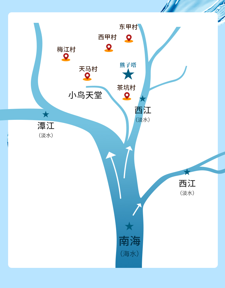 森曬課堂20新會陳皮的道地性新會正宗陳皮的代名詞上