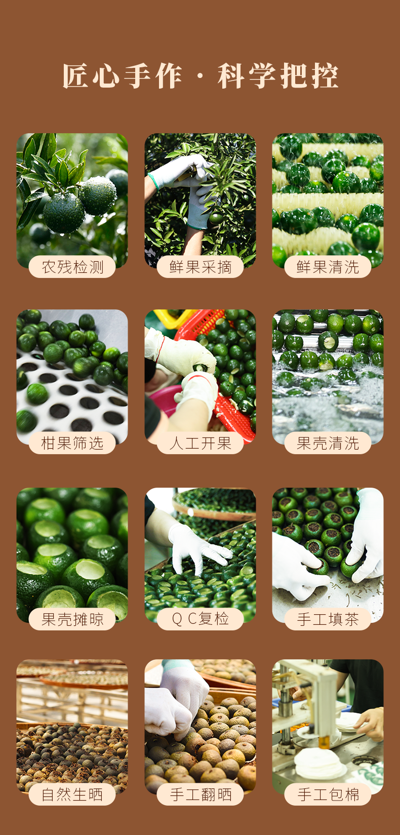 小青柑白茶_05.png